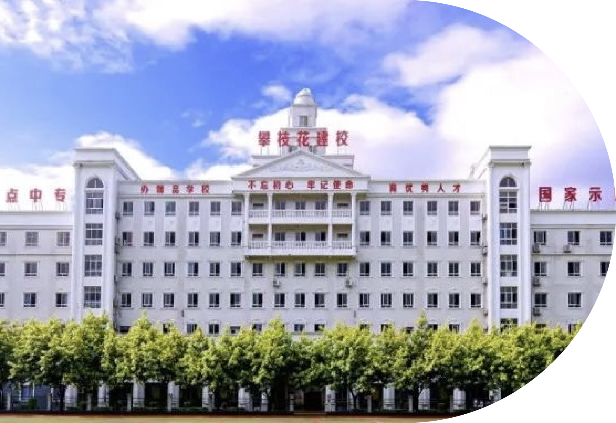 图片1.png